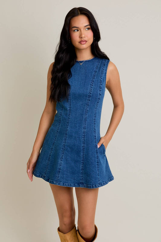Denim Daydream Mini Dress